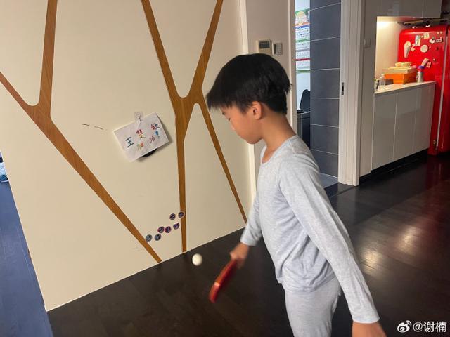 家有迷弟！谢楠两个儿子追看亚运 戴发带画画为王楚钦应援