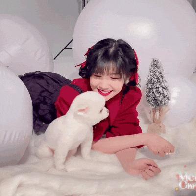 还记得小七赖美云吗？新剧惹争议？