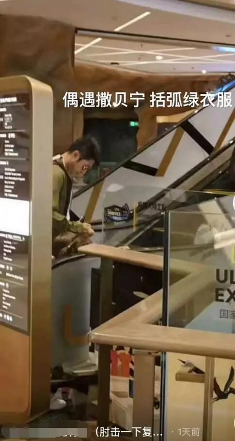 撒贝宁全家出游，一路为儿子摄像，孩子笑容超治愈