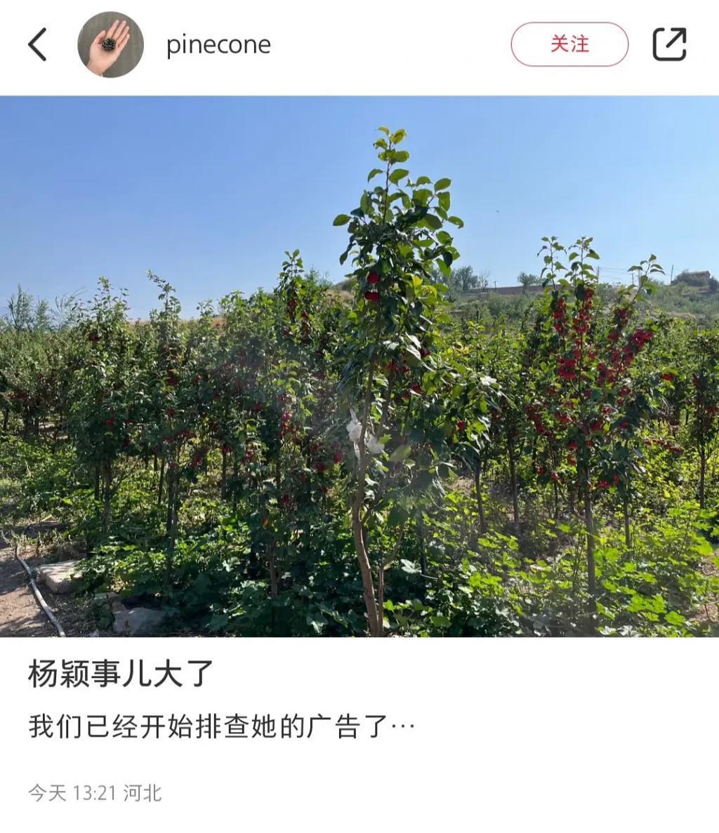 刚出的大瓜!这下她彻底凉了?