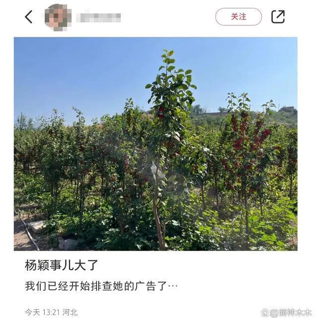 曝杨颖张嘉倪事件被定性！影响恶劣已开始处理，网友：支持