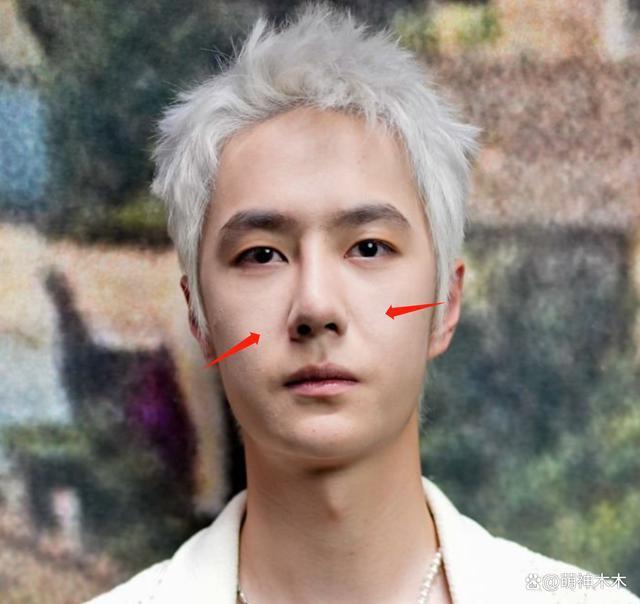 王一博看秀生图曝光,银发搭女款外套似精神小伙,撞脸蒋雯丽