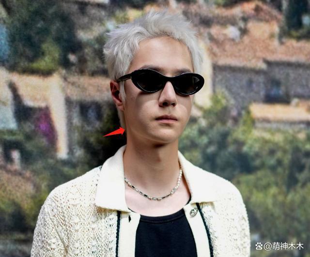 王一博看秀生图曝光,银发搭女款外套似精神小伙,撞脸蒋雯丽