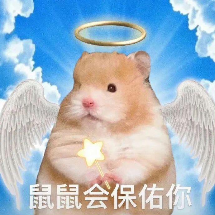 他被爆劈腿，这都第几次了？