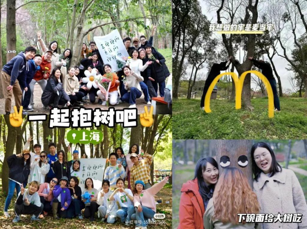 年轻人开始流行抱树：无厘头却有意义