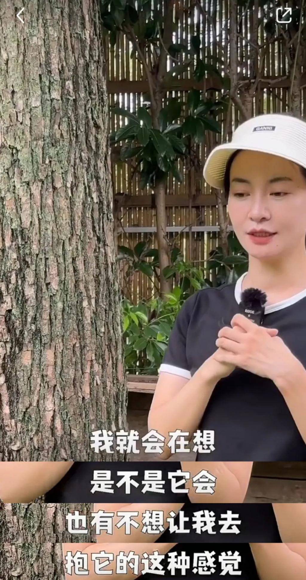 年轻人开始流行抱树：无厘头却有意义