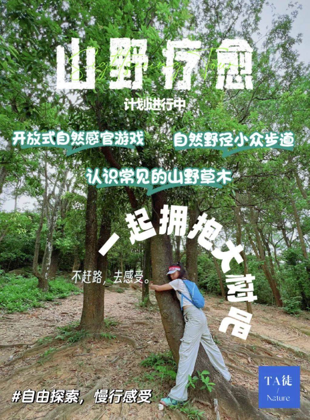 年轻人开始流行抱树：无厘头却有意义