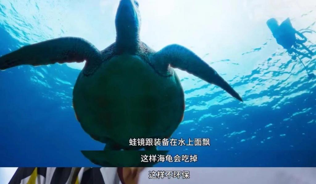 天菜如他，怎么也混成废柴
