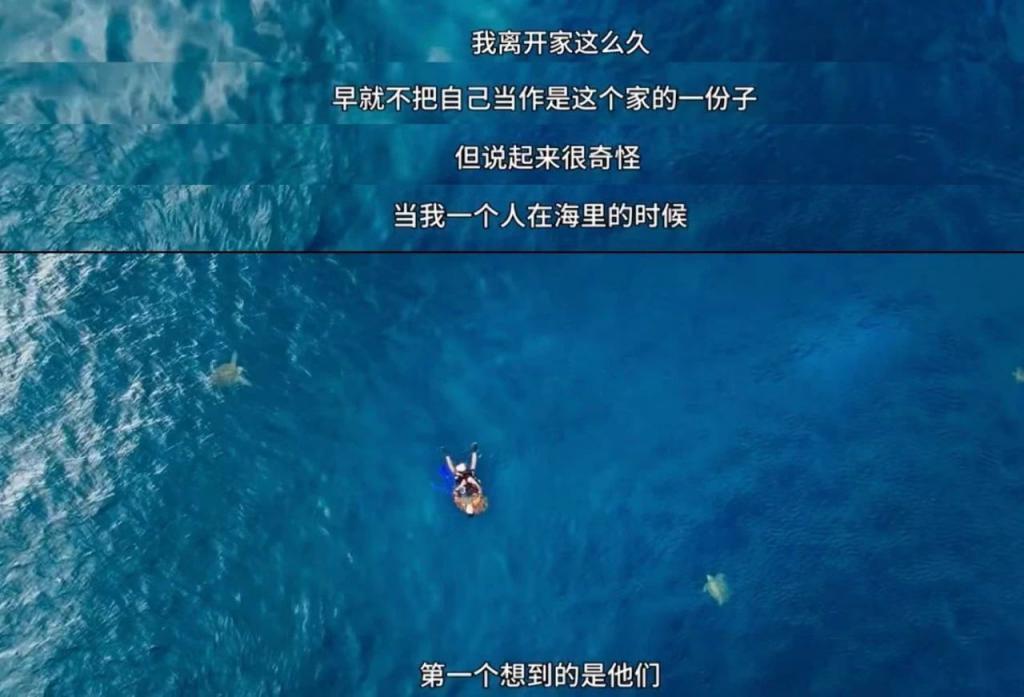 天菜如他，怎么也混成废柴