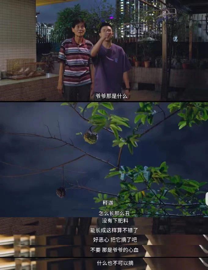 天菜如他，怎么也混成废柴