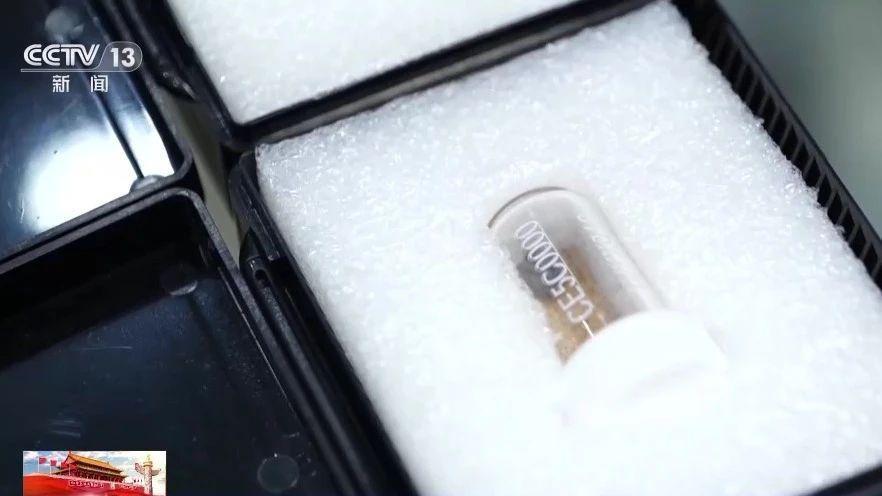 最高荣誉！中国团队获国际大奖！