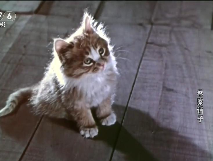 抱歉，国庆档最佳，已被禁