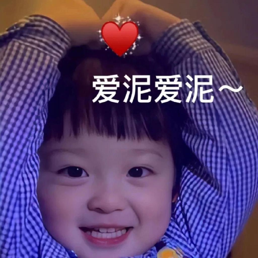你去过迷笛音乐节吗？