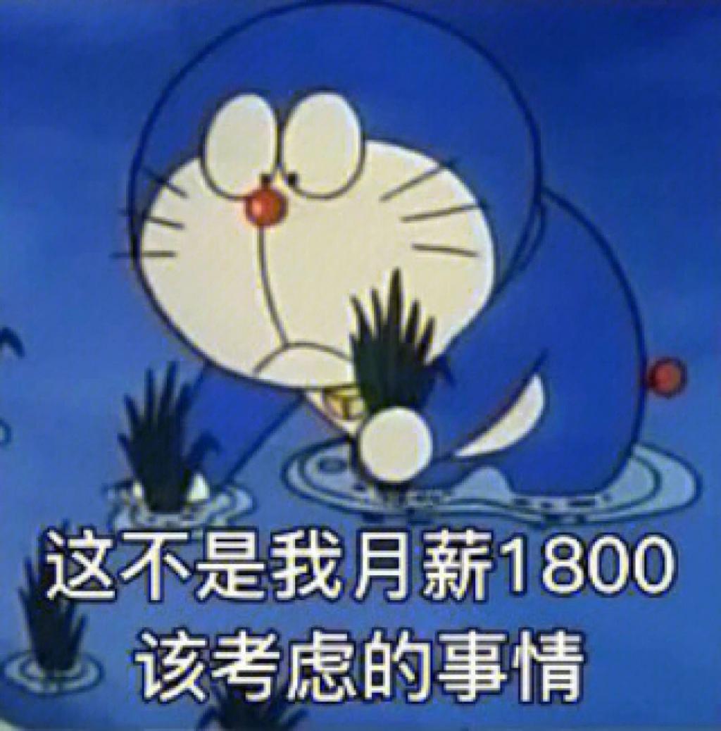 你去过迷笛音乐节吗？