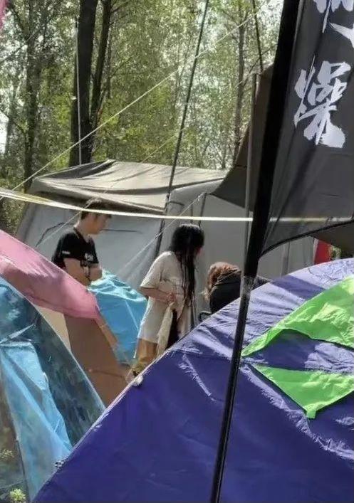 你去过迷笛音乐节吗？
