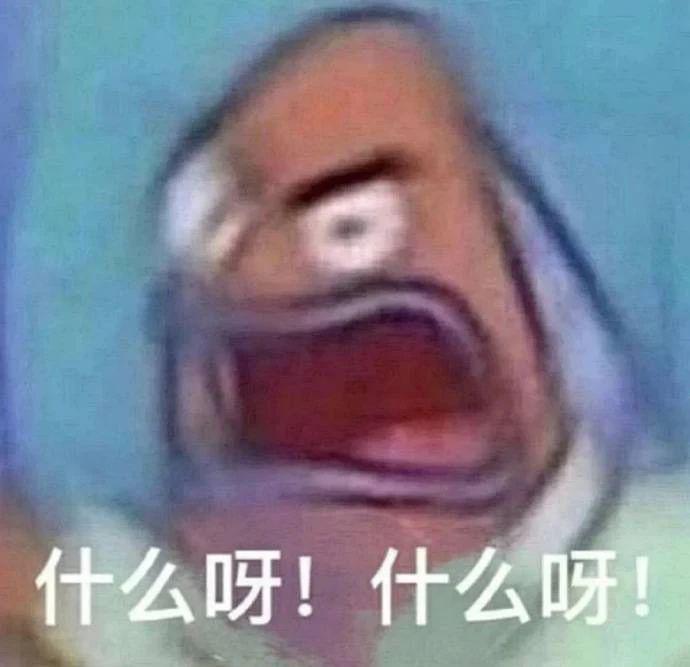 你去过迷笛音乐节吗？