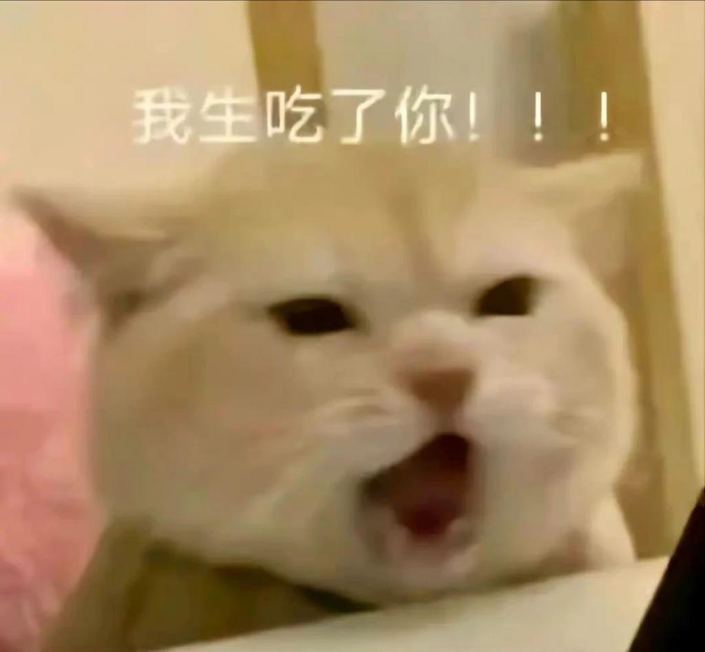 你去过迷笛音乐节吗？