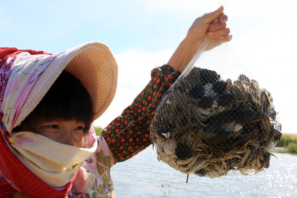 一小时爆卖3万只，卖空上百吨，它在今年火出圈