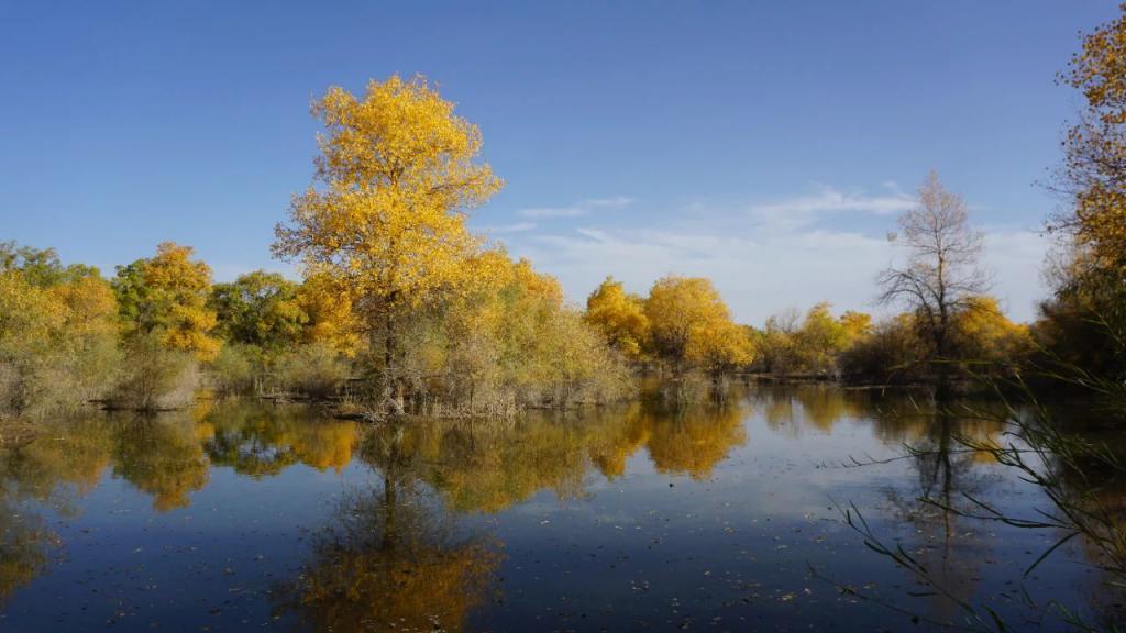 花1000元睡酒店大堂,这美拉德小镇值吗?