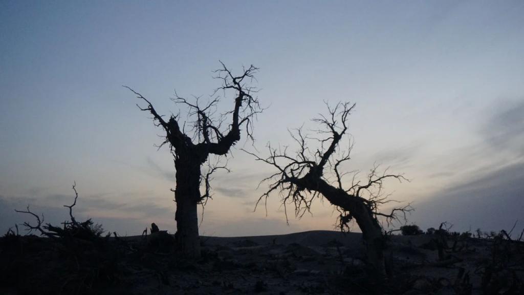 花1000元睡酒店大堂,这美拉德小镇值吗?