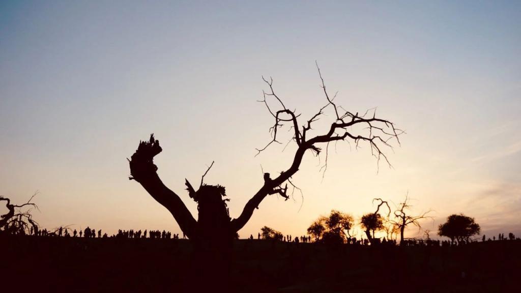 花1000元睡酒店大堂,这美拉德小镇值吗?