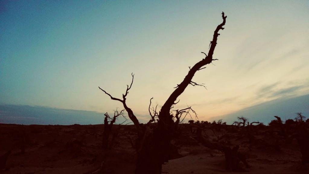 花1000元睡酒店大堂,这美拉德小镇值吗?