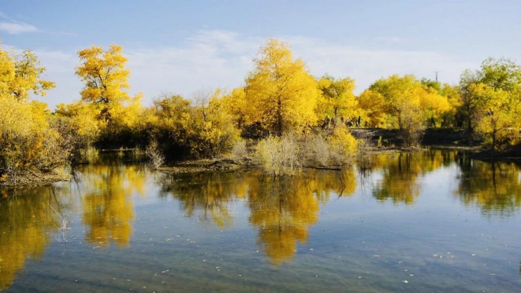 花1000元睡酒店大堂,这美拉德小镇值吗?