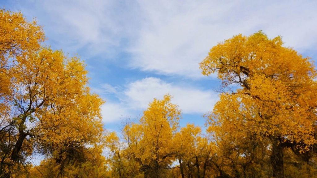 花1000元睡酒店大堂,这美拉德小镇值吗?