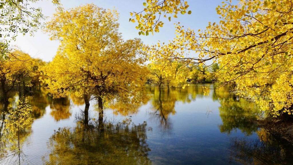 花1000元睡酒店大堂,这美拉德小镇值吗?