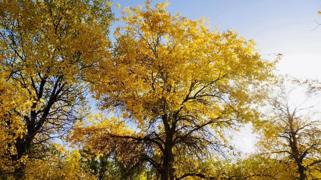 花1000元睡酒店大堂,这美拉德小镇值吗?