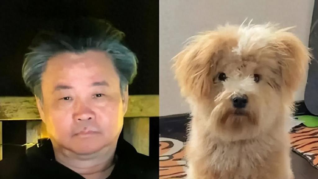 余华莫言成互联网小狗，当代年轻人找到新的精神“马杀鸡”
