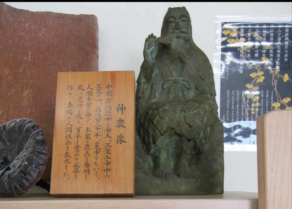 日本年轻人，开始信“中医”