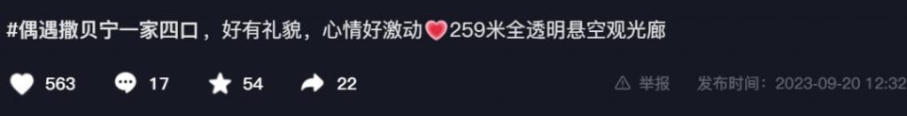 撒贝宁带老婆回沈阳婆家！细心带娃被赞好男人，混血儿调皮颜值高
