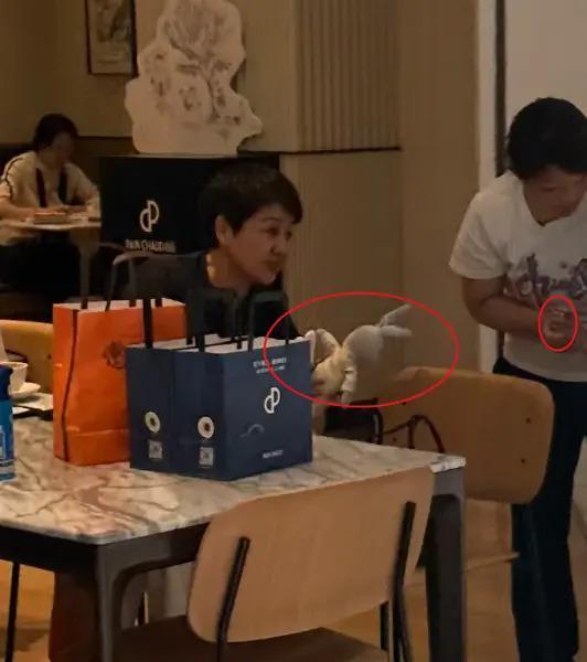 奚梦瑶录综艺受伤，四太紧急回上海带娃