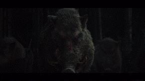 姐，这种角色就非接不可吗？