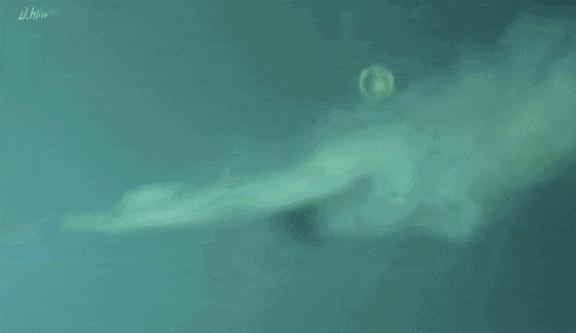 这不叫塌房，应该是结婚时没请你…