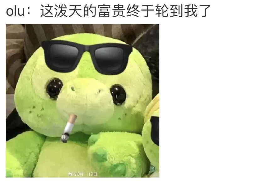 还记得全红婵吗?不负众望夺冠!