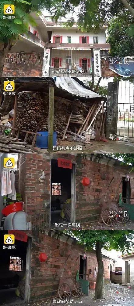 还记得全红婵吗?不负众望夺冠!