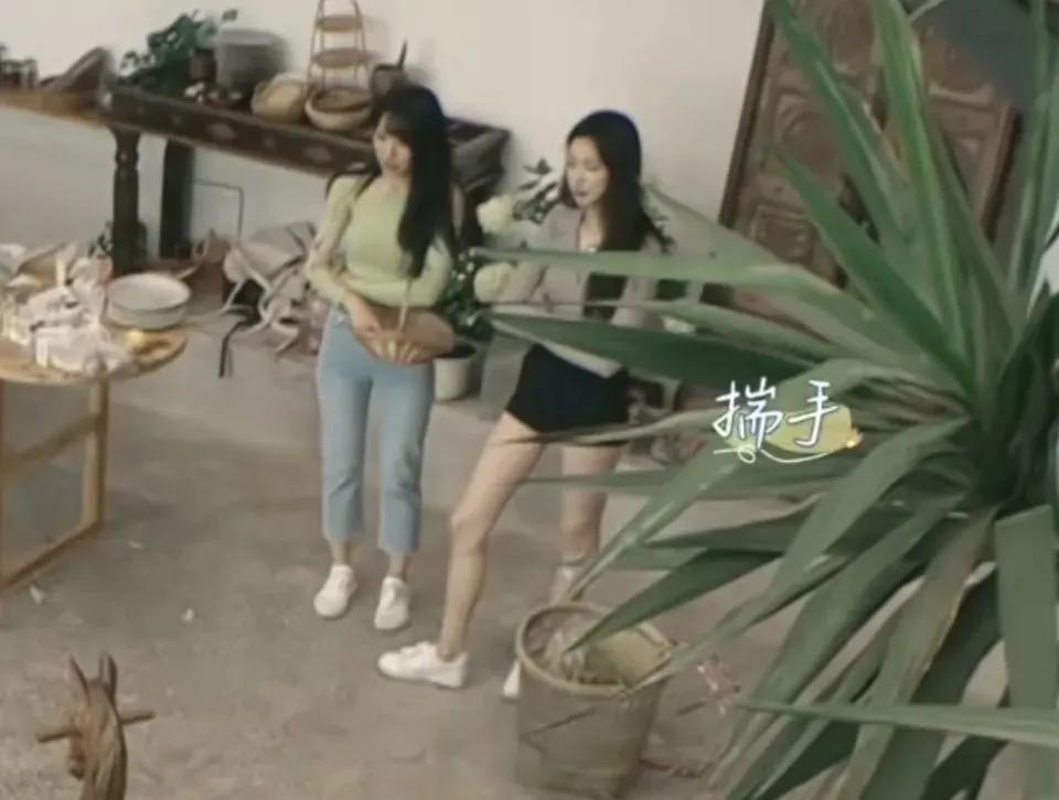 吃点好的吧，都这样了还喜欢？