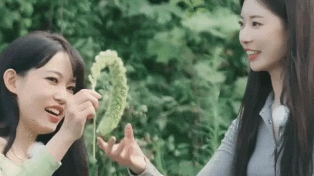 吃点好的吧，都这样了还喜欢？