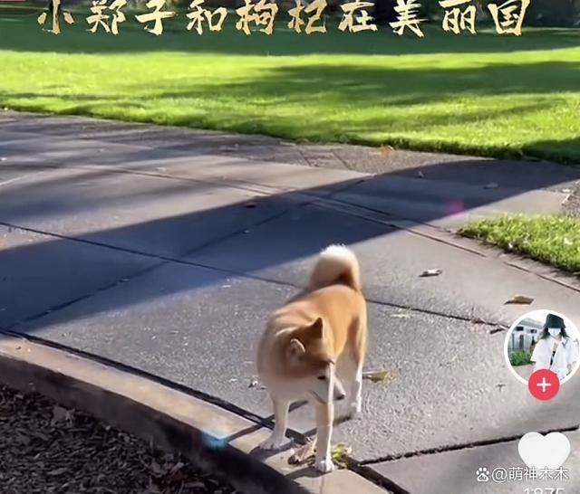 郑爽吃大餐住豪宅，被曝身家6亿却不履行判决，躲国外生活优渥