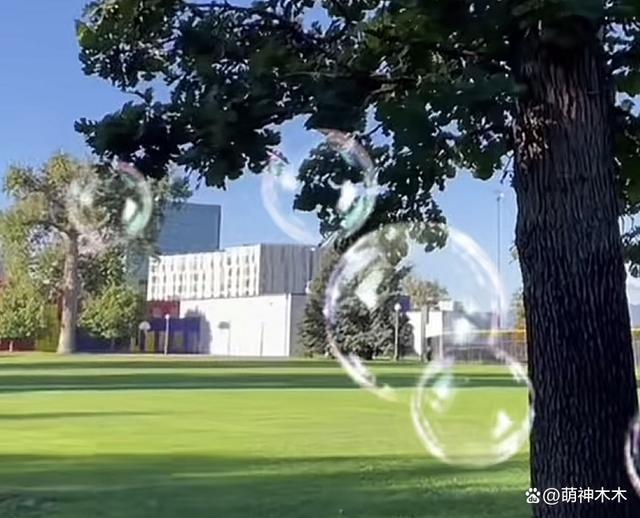 郑爽吃大餐住豪宅，被曝身家6亿却不履行判决，躲国外生活优渥