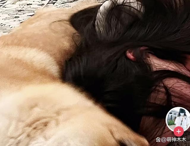 郑爽吃大餐住豪宅，被曝身家6亿却不履行判决，躲国外生活优渥
