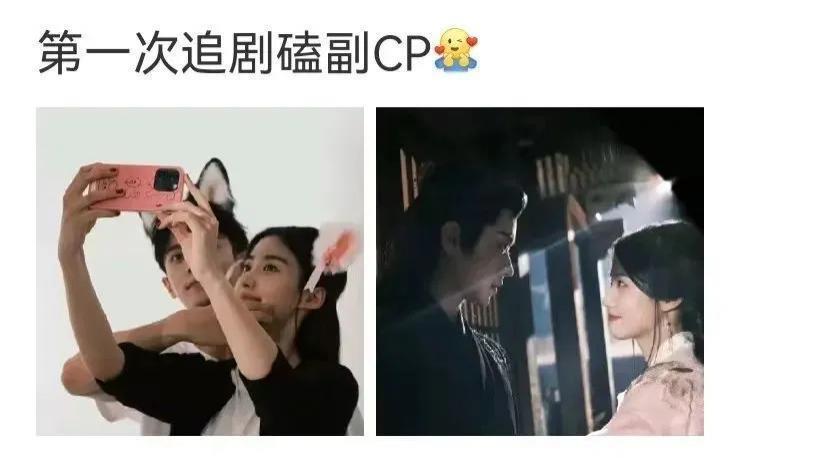 内娱最毒的嘴，还没放过杨洋