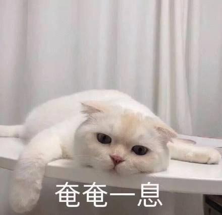 开发者们二十年的精神家园，决定靠卖会员自救。