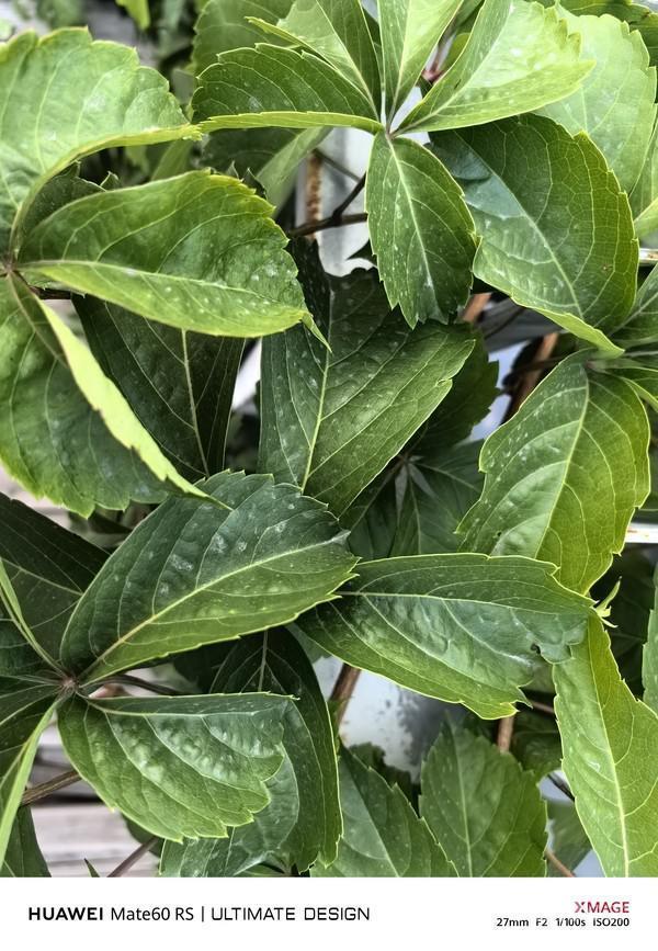 华为Mate 60 RS 非凡大师评测：逆势而为 敢于非凡