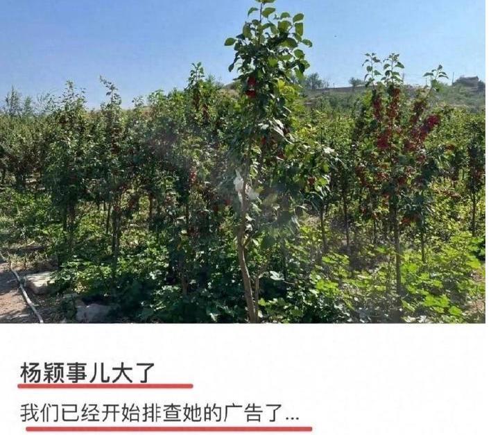 baby被封杀，这回真凉了？
