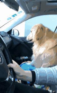 谁再笑话中国车，就给他一电跑