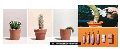 市值蒸发80%，美国线上“莆田医院”故事为什么不好讲