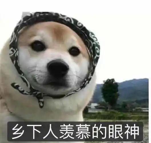 啊？被导演潜规则曝光，他俩真有一腿？
